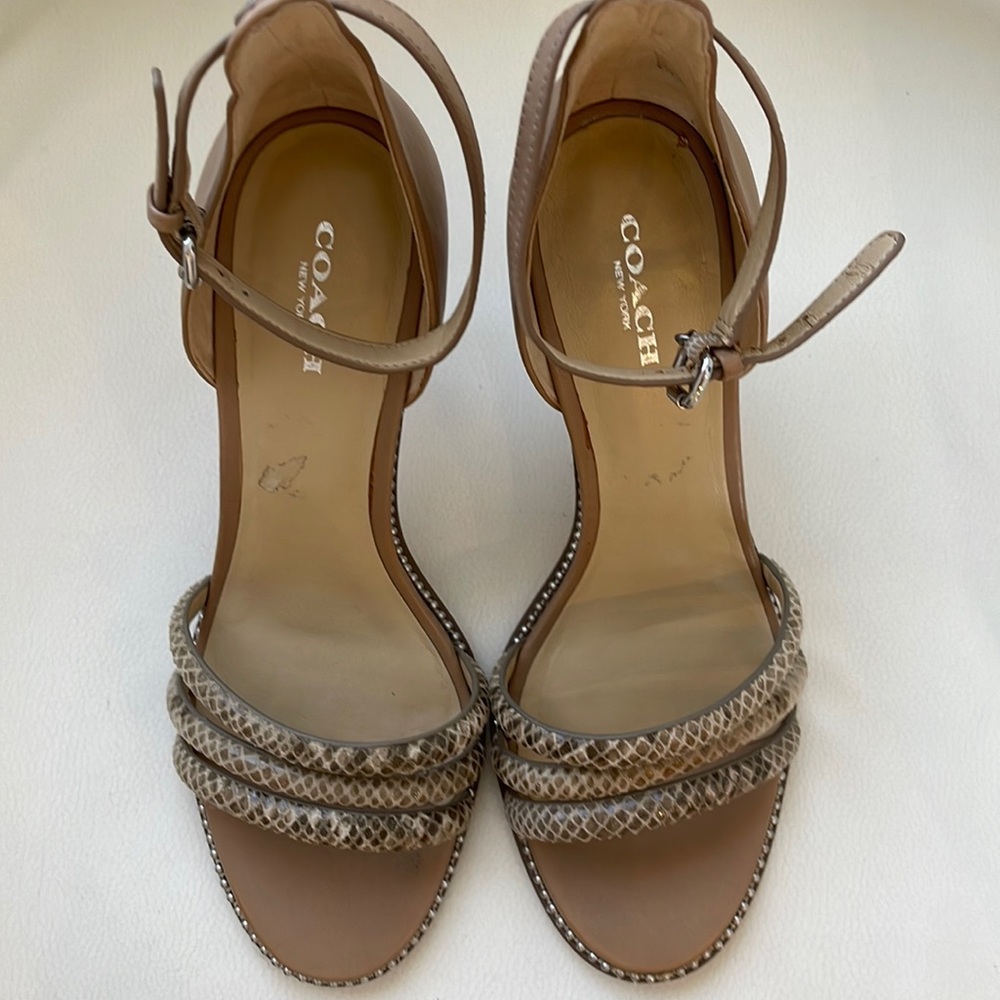 Coach Python Print Heel - image 1